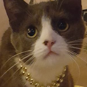 Meet your Posher, Kaitlyn